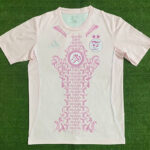 24-25 Algeria Pink Special Edition Fans Training shirts (粉色)