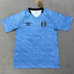 25-26 Gremio Sky Blue Training Shirts