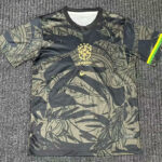 25-26 Brazil Grey Black Special Edition Fans Soccer Jersey