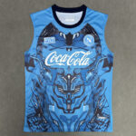 25-26 Napoli Blue Vest