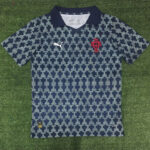 25-26 Portugal Grey Black Training Shirts (PM)