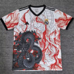 25-26 RMA Red Special Edition Fans Training Shirts (红)