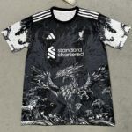 25-26 LIV Black Blue Special Edition Training shirts (凤凰)