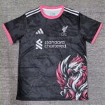 25-26 LIV Black Special Edition Fans Training shirts (粉袖边)