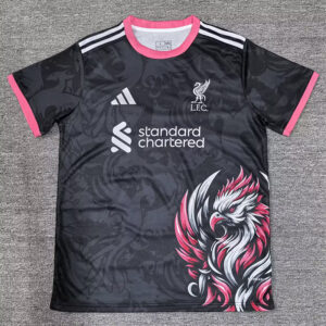 25-26 LIV Black Special Edition Fans Training shirts (粉袖边)