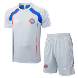 25-26 Bayern Grey Training Short Suit #D25128