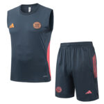 25-26 Bayern Dark gray Tank top and shorts suit #D25142