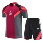 25-26 River Plate Red grey Training Short Suit