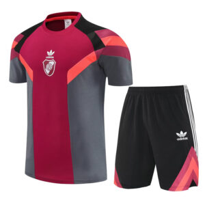 25-26 River Plate Red grey Training Short Suit