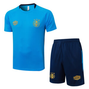 25-26 Gremio Lake blue Training Short Suit #D25173