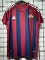 2025 PEC Zwolle Special Edition Fans Soccer Jersey