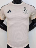 25-26 Algeria Khaki Player Version Training shirts #A38卡其