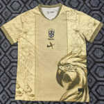 25-26 Brazil Gold Special Edition Training shirts