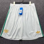 25-26 Roma Third Shorts Pants
