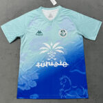 25-26 Tunisia Blue Special Edition Training shirts 突尼斯