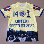 25-26 Club America 14 Champion Training shirts