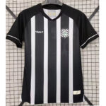 25-26 Figueirense FC Home Fans Soccer Jersey