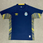 25-26 Gremio Royal blue Goalkeeper Soccer Jersey
