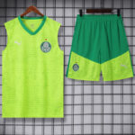 24-25 Palmeiras Fluorescent green Tank top and shorts suit