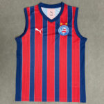25-26 BaHia Away Vest