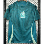 24-25 Mexico Green Blue Training shirts